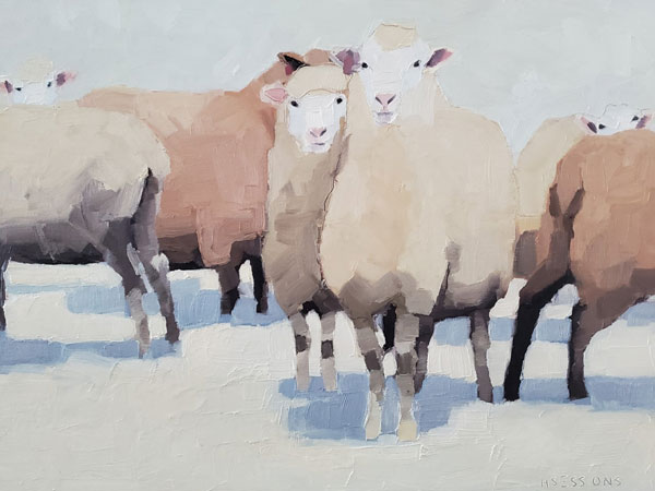 Group of Sheep in Winter