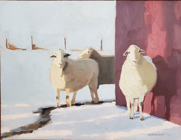 Neighbors, Three Sheep